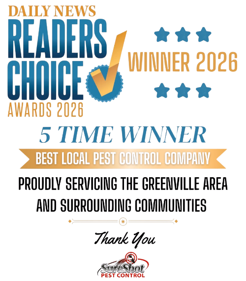 Daily News Readers Choice 5 Time Winner